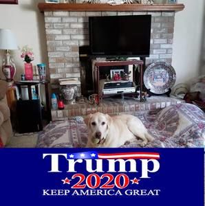 Meet your Posher, Franklin